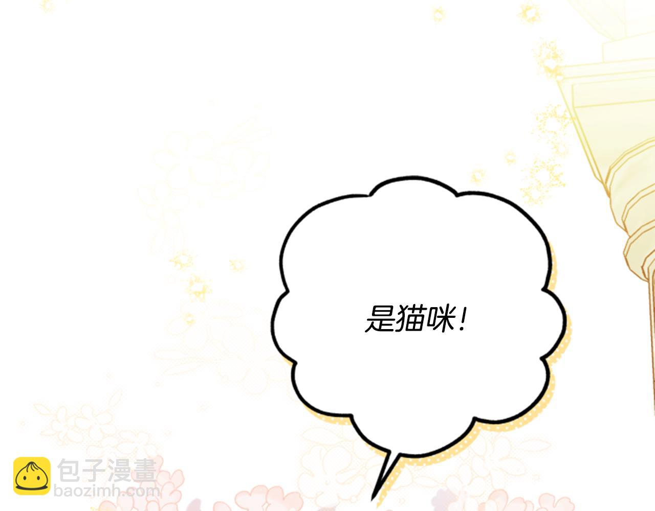 第54话 猫咪朋友4