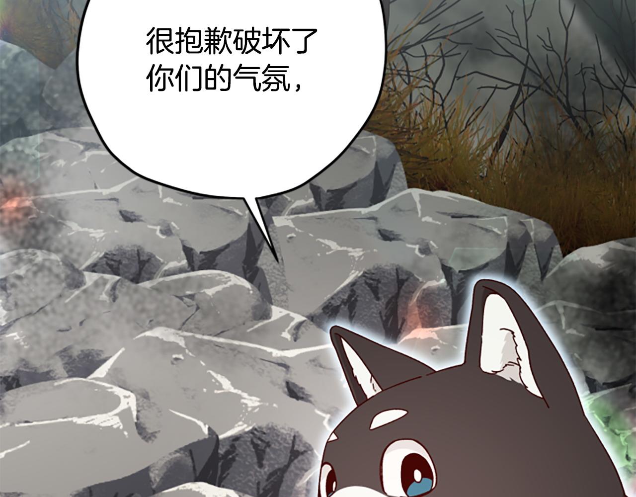 第78话 带他一起去吧216