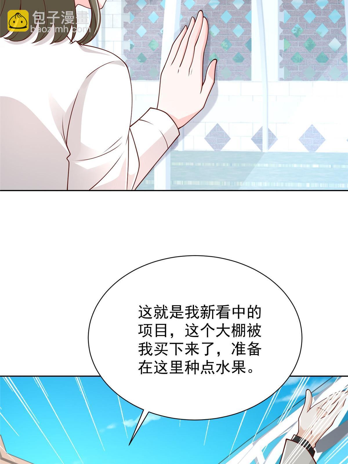 355 新项目计划书33