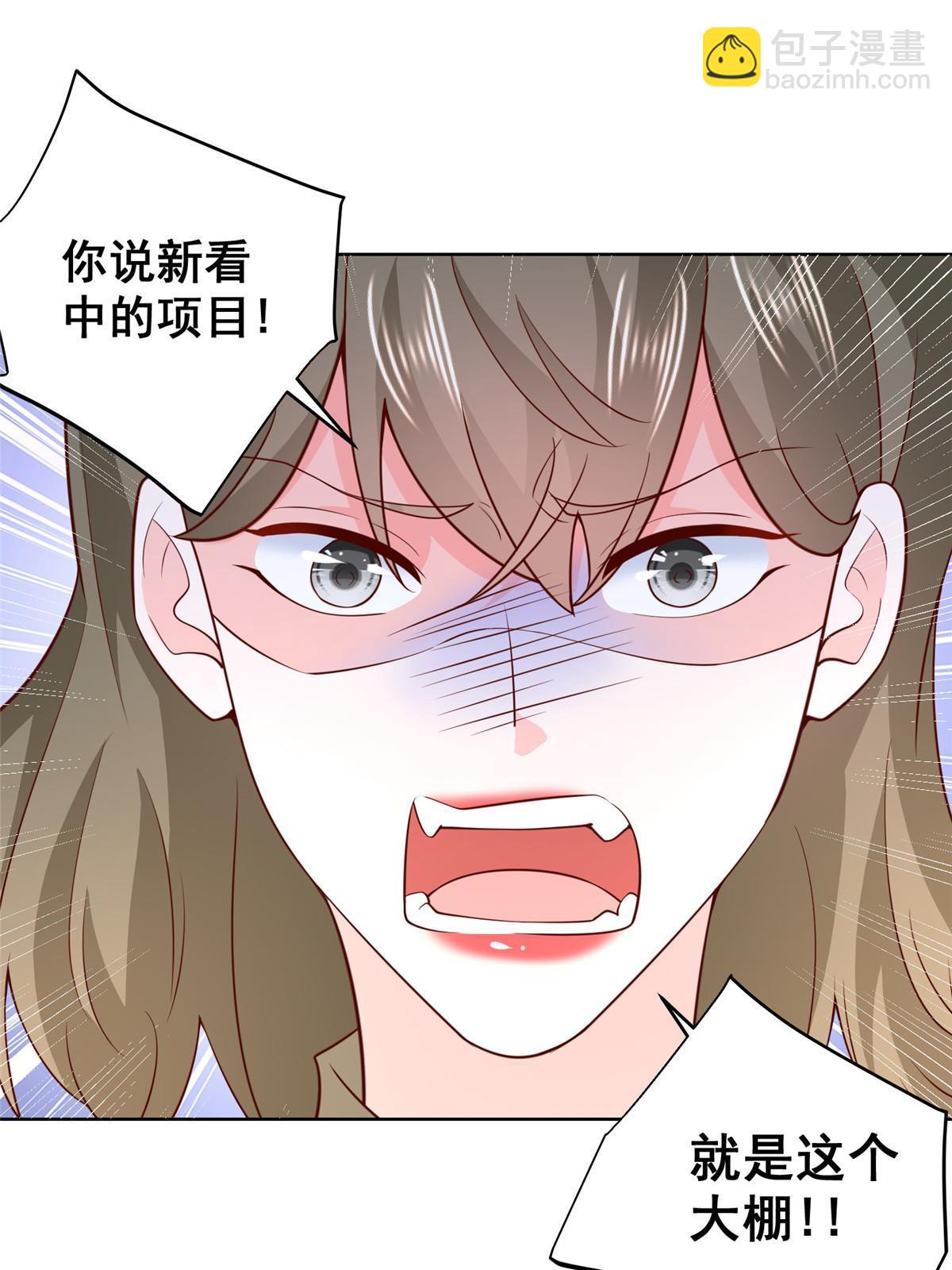 355 新项目计划书37