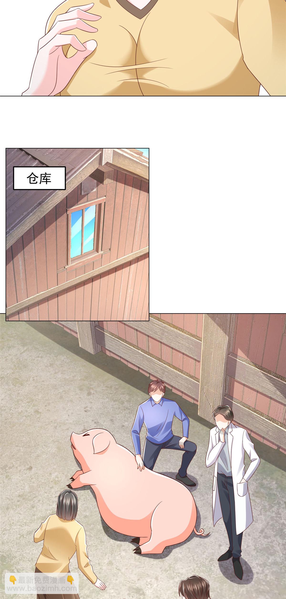 365 新晋宠物43