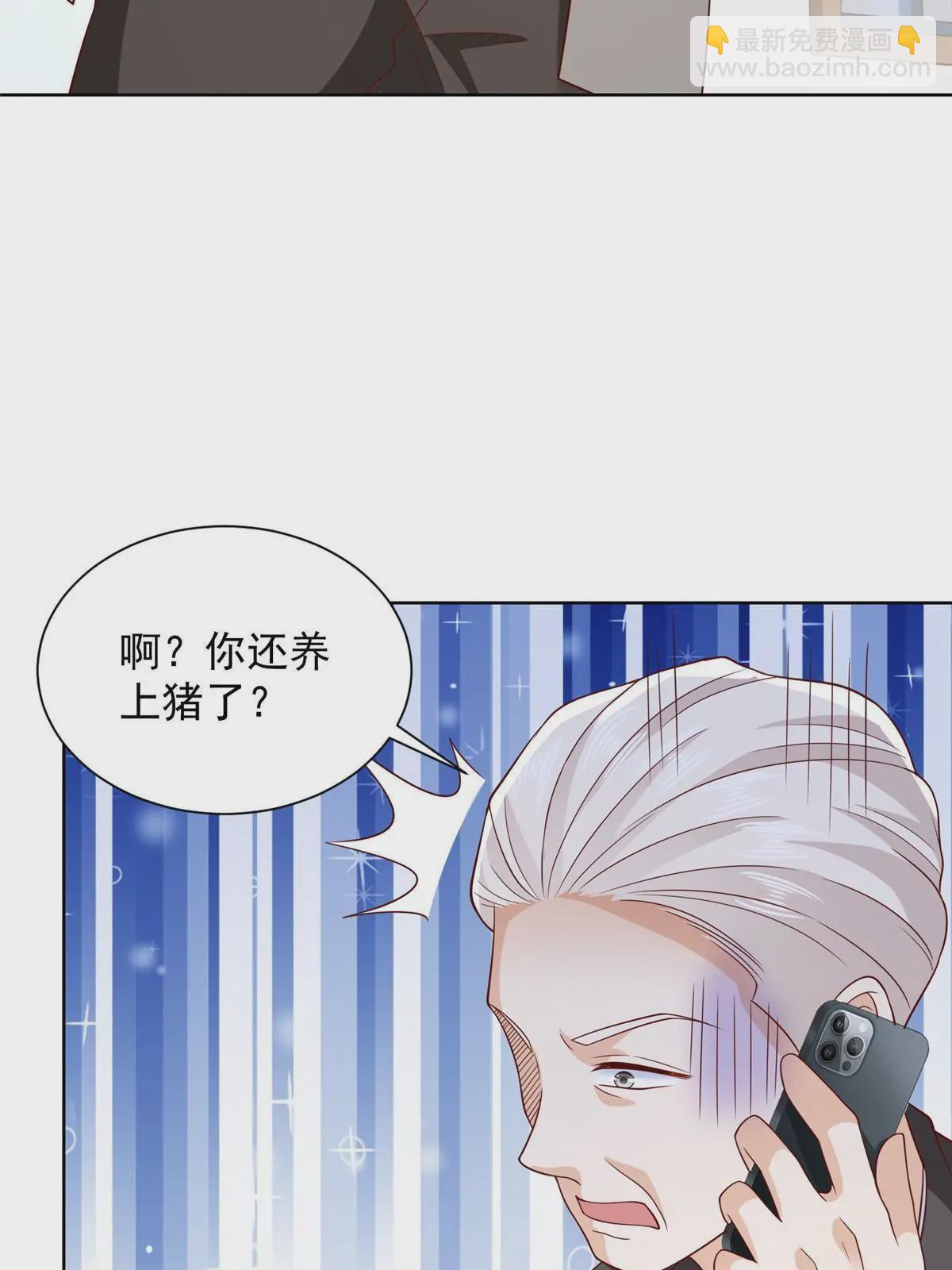 366 养猪任务27