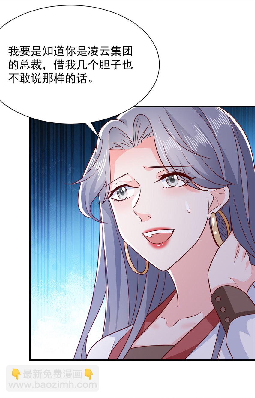 528 神秘总裁29