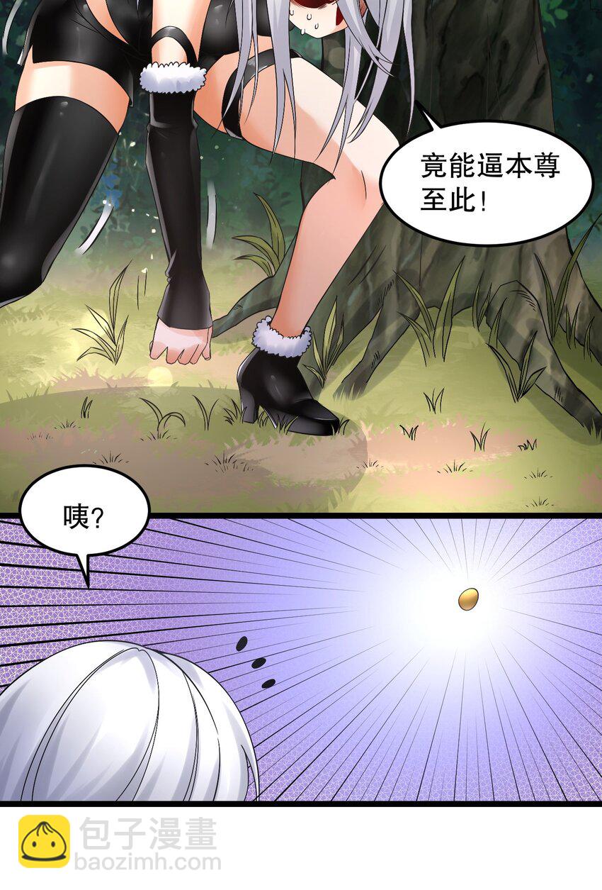 68 这白毛…不太聪明的亚子14