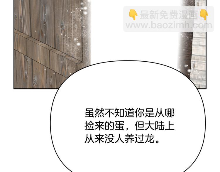 外传2 抛弃龙崽？109