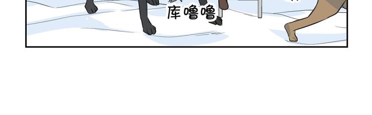 外传5 危机时刻！88