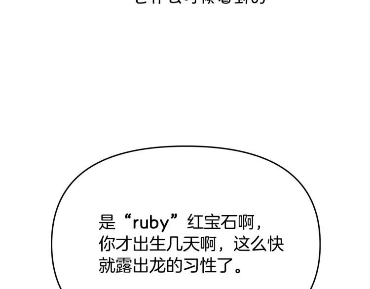 外传8 给龙宝宝取名41