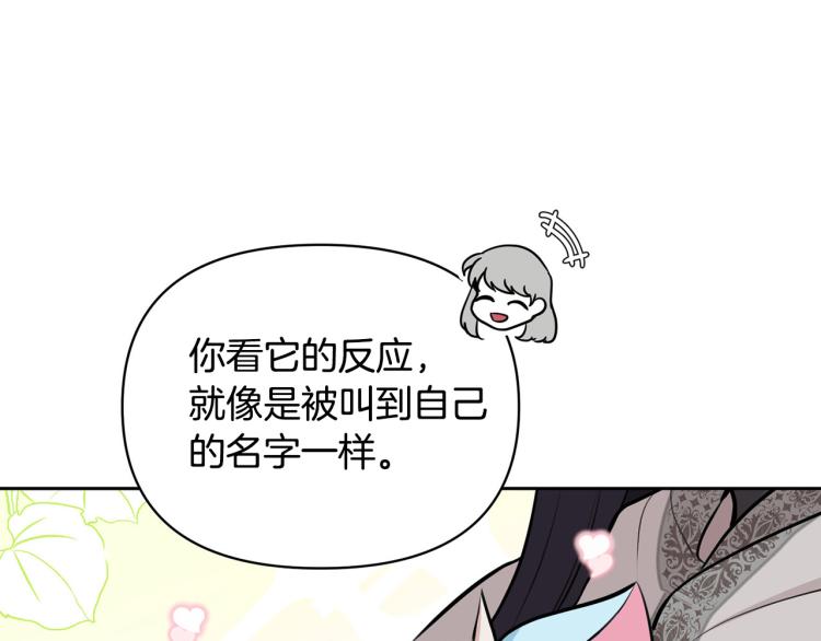 外传8 给龙宝宝取名67