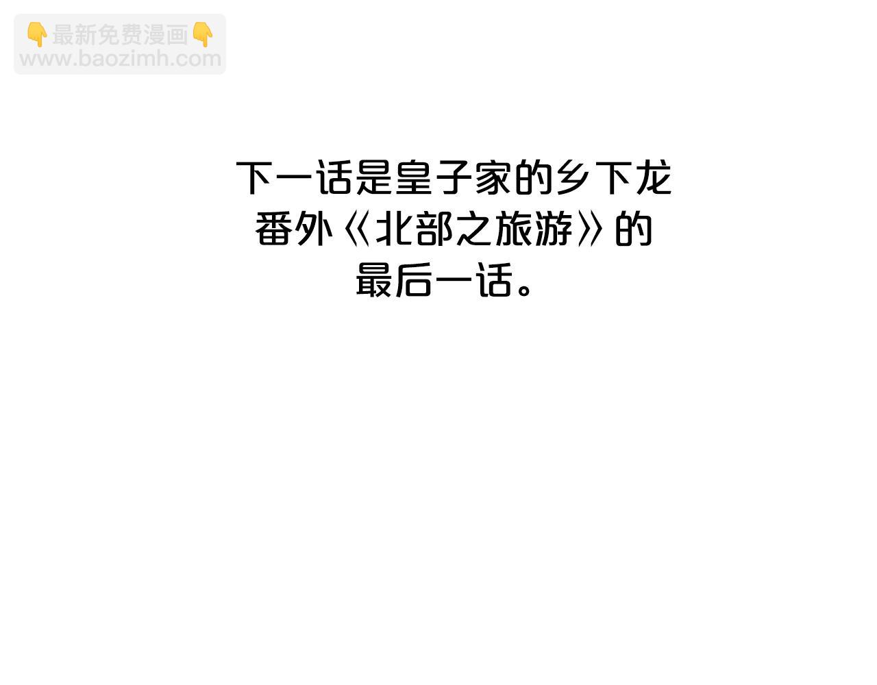 外传二 （3）北部之旅163