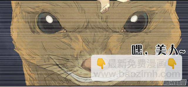第十四条：请求34