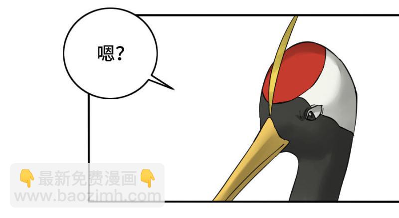第二卷 30 洞若观火(加更）1