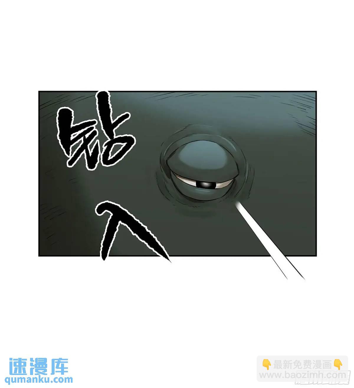 第三卷 78  剑南道之战 三17
