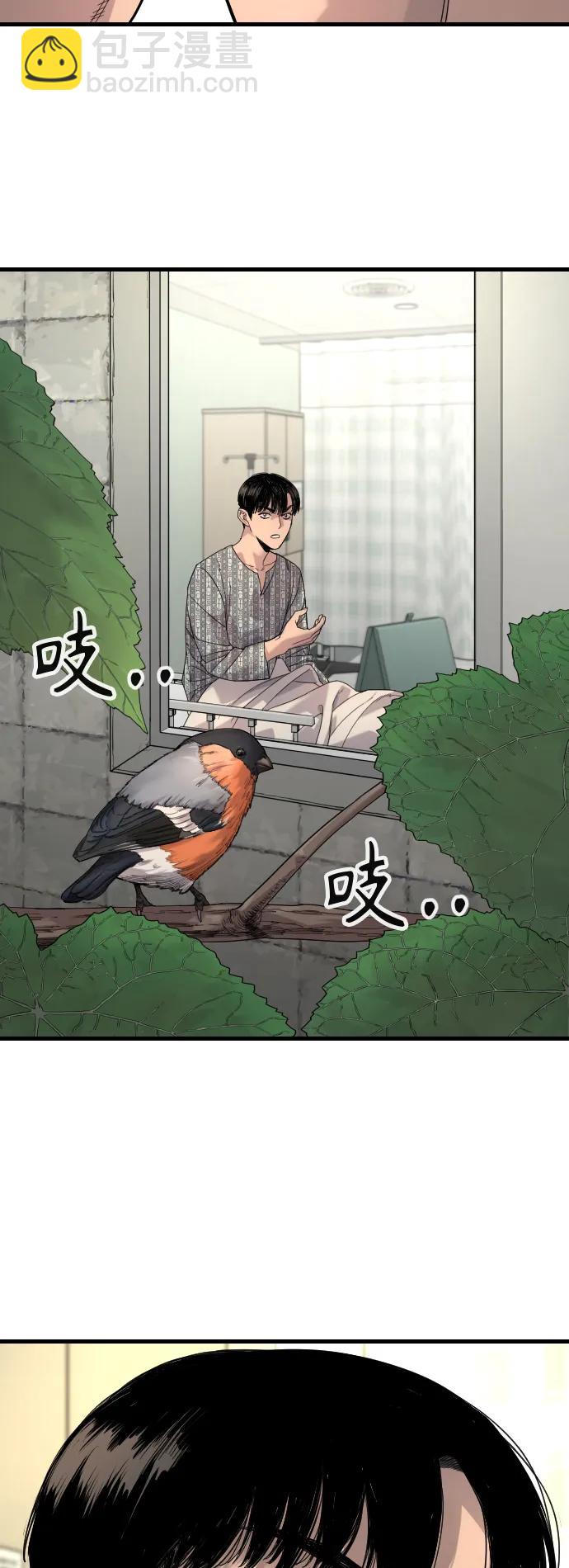 [第28话] 梧桐上的凤凰71