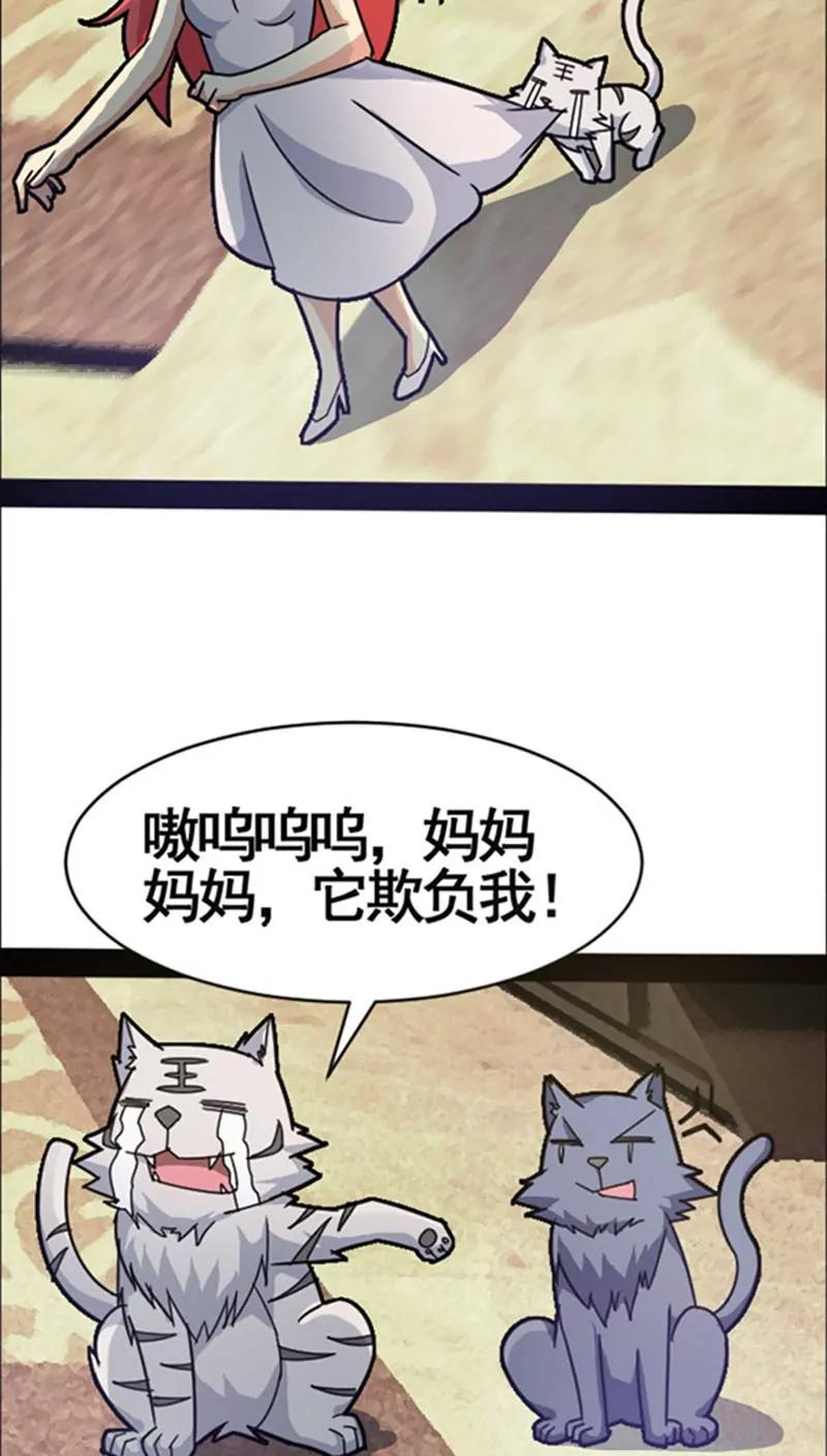 第36话 好消息14