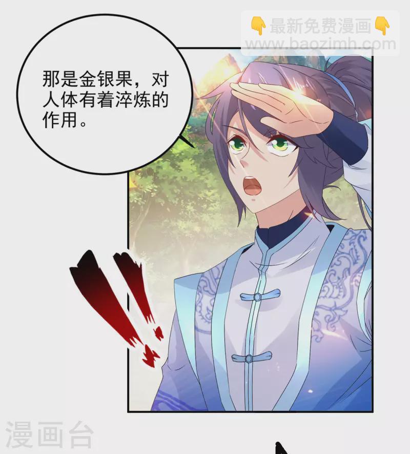 第222话 金银树上金银果14