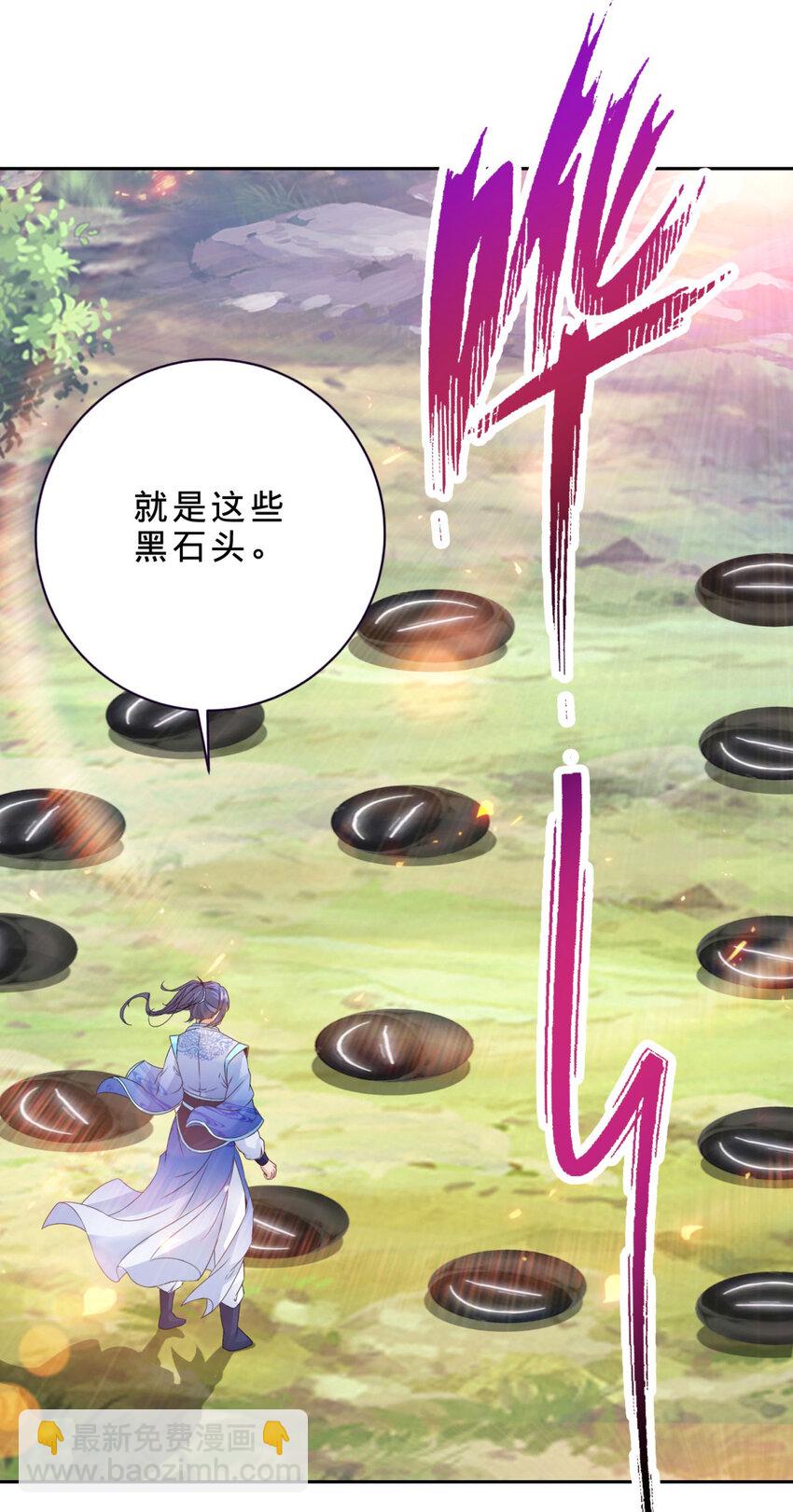 第312话 双色石13