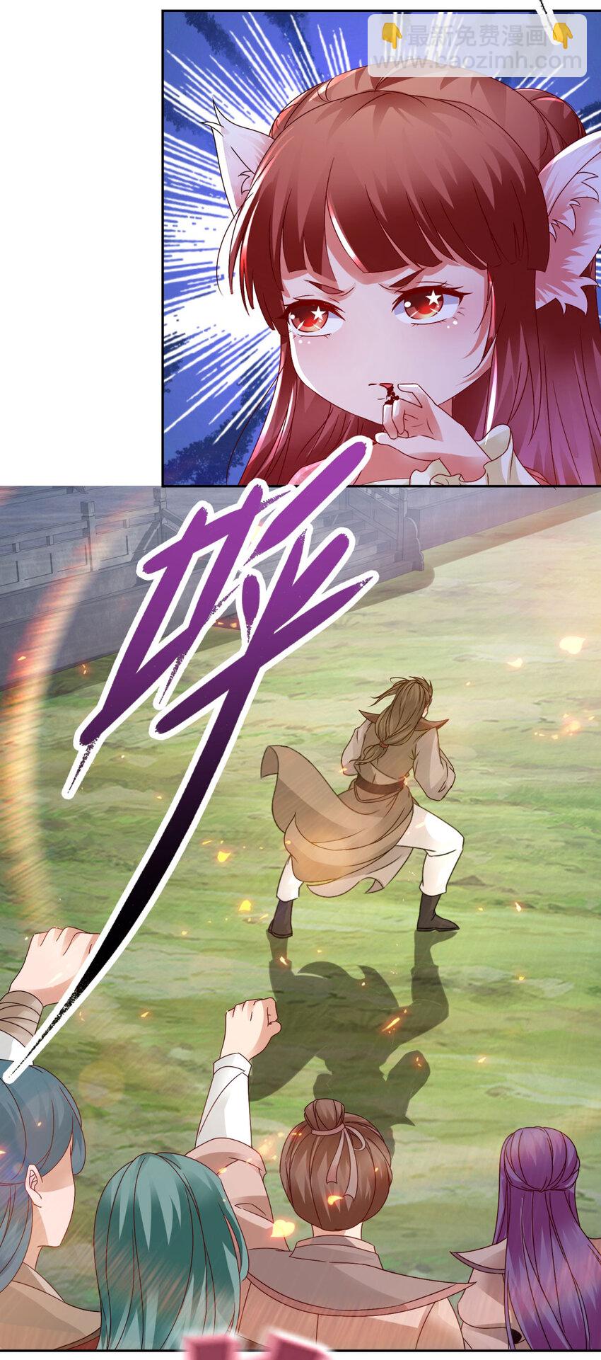 第312话 双色石2
