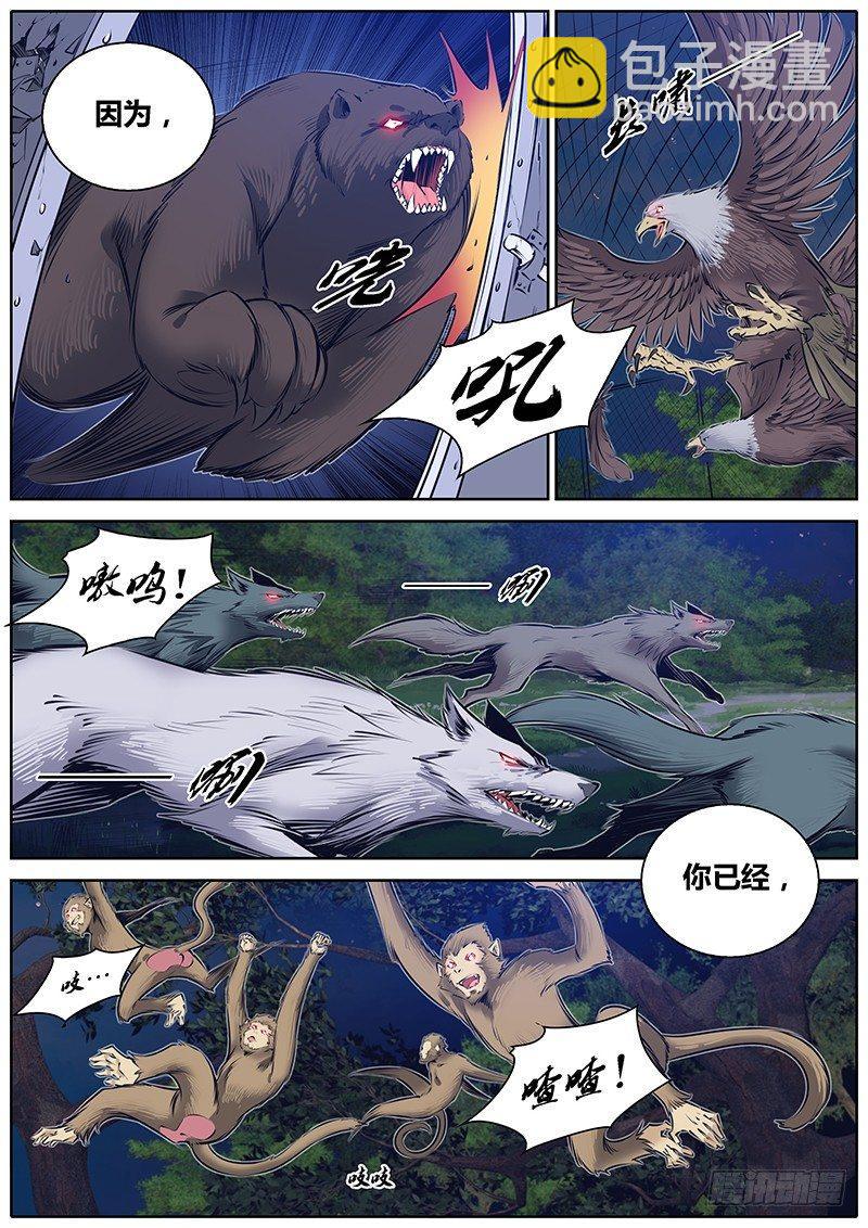 222.疯狂动物城8