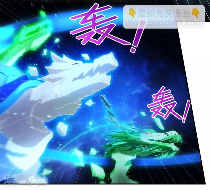 第107话 四象弑天阵29