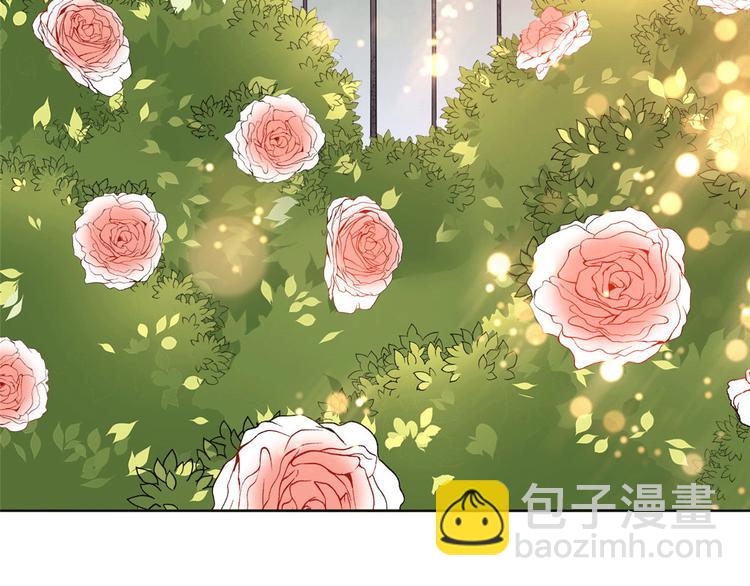 第二十七话 宣布复出10