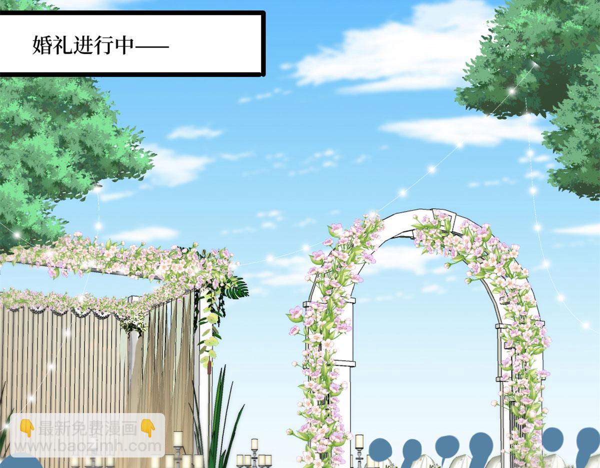 第204话 婚礼28