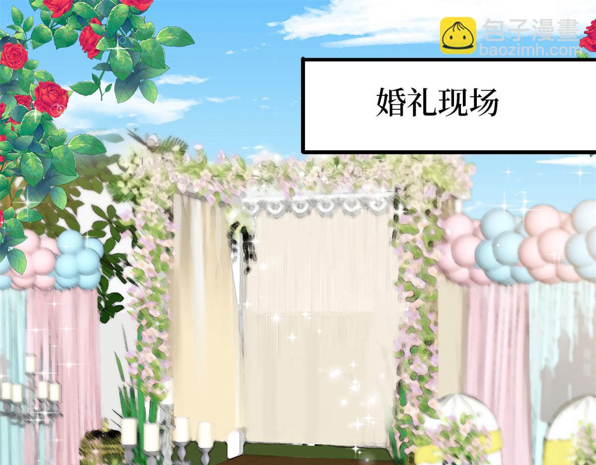第204话 婚礼4
