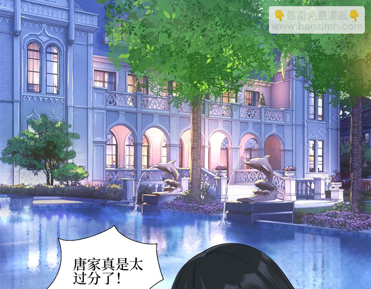 第233话 起诉唐家11