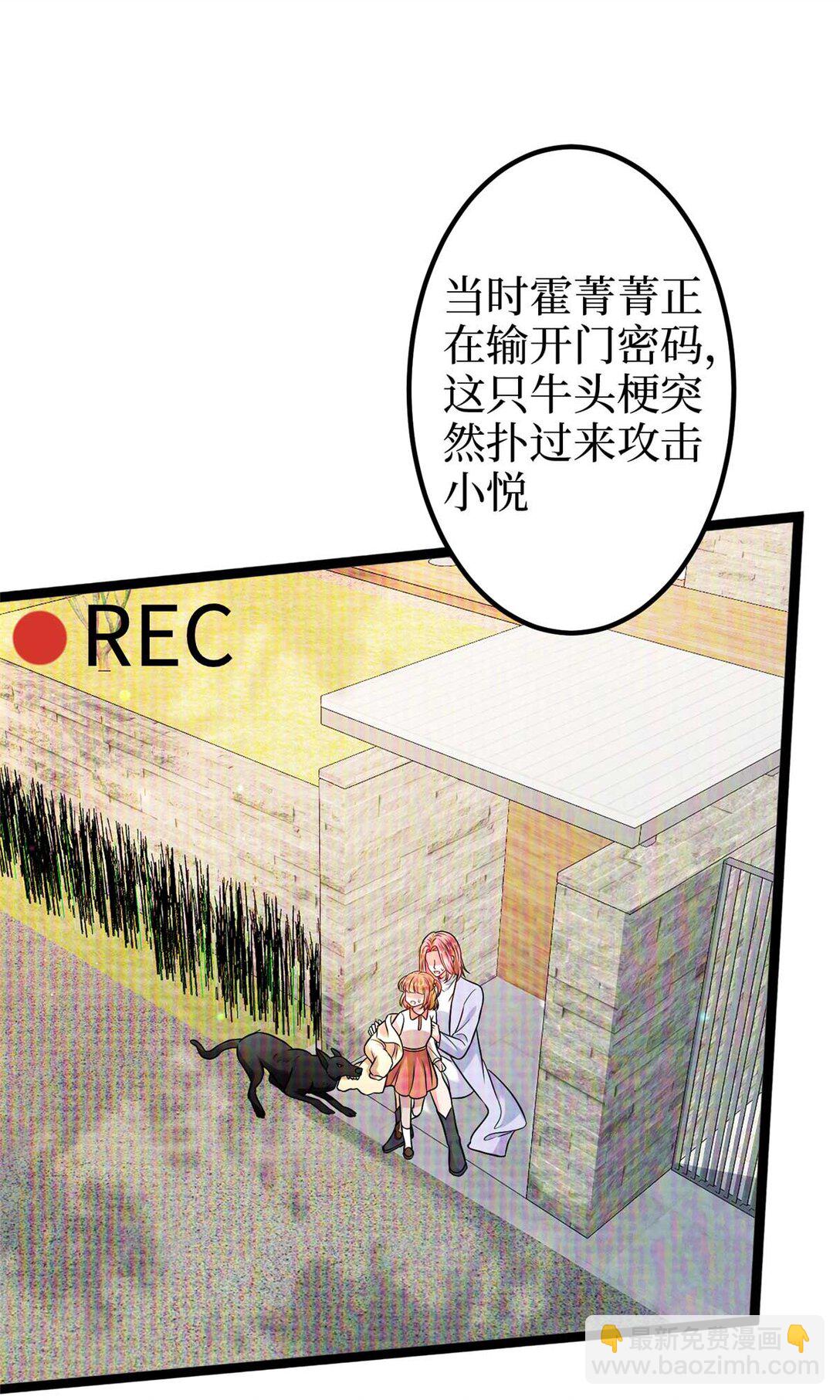 381 唐宁，你真的老了34
