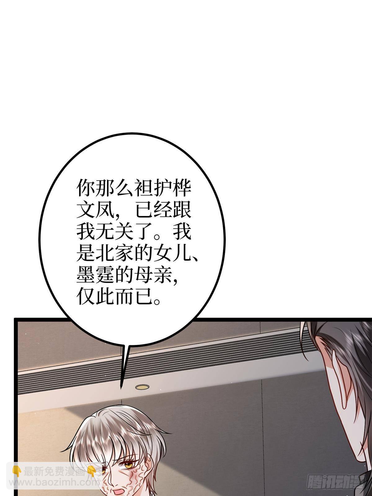 第386话 自作自受的桦文凤28