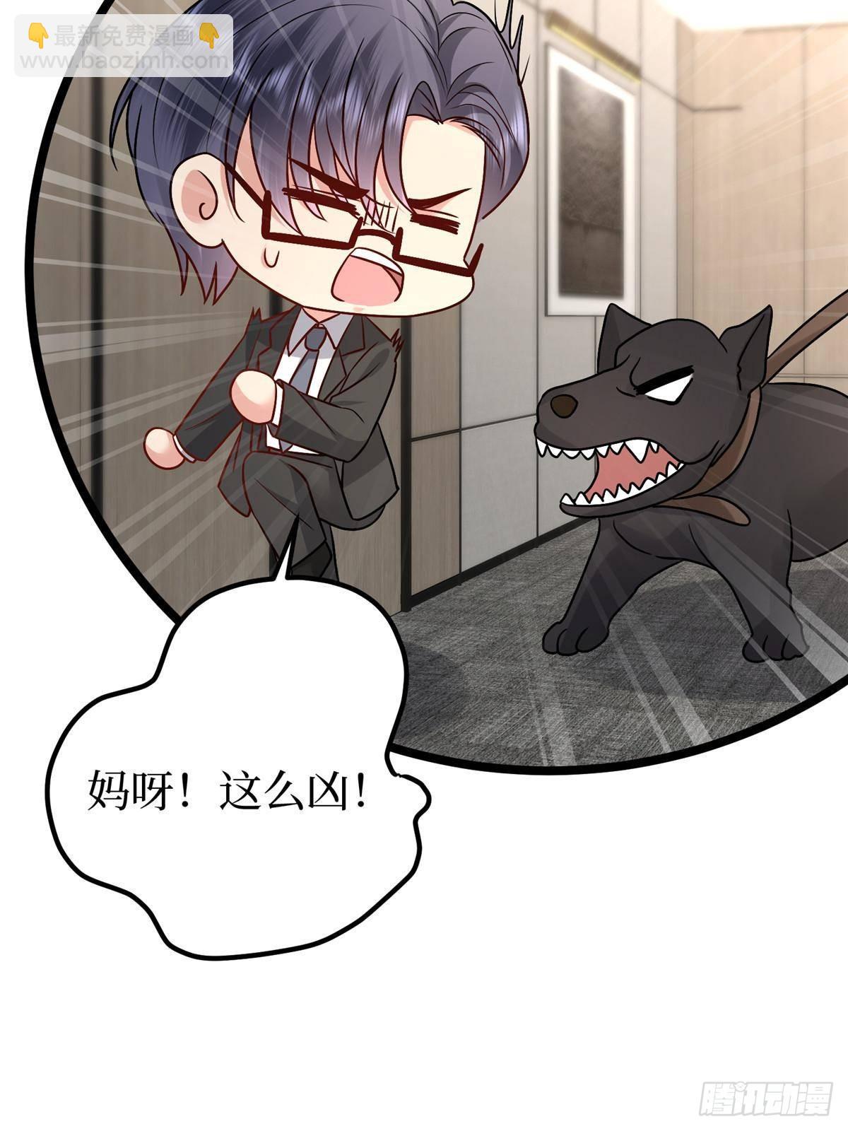 第393话 什么叫真正的人气57