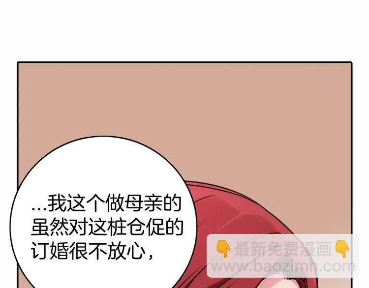 第17话 订婚背后的危机18
