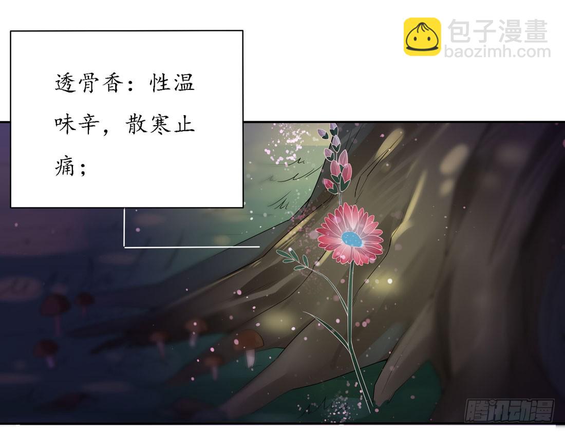 第八话 到底为什么追我？3