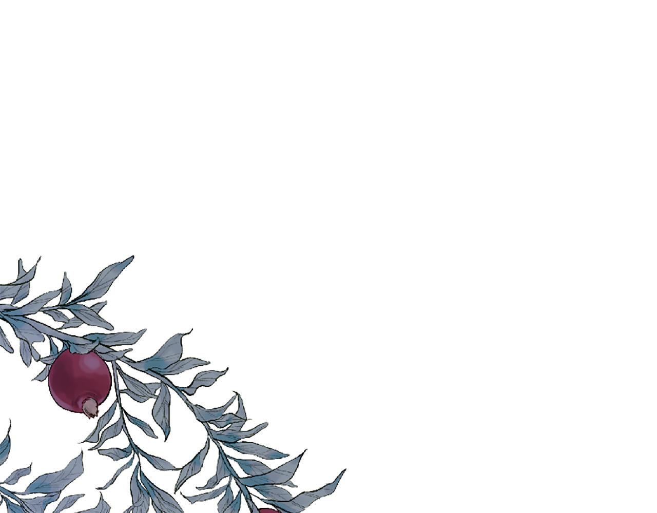 第69话 公主的新仆人43