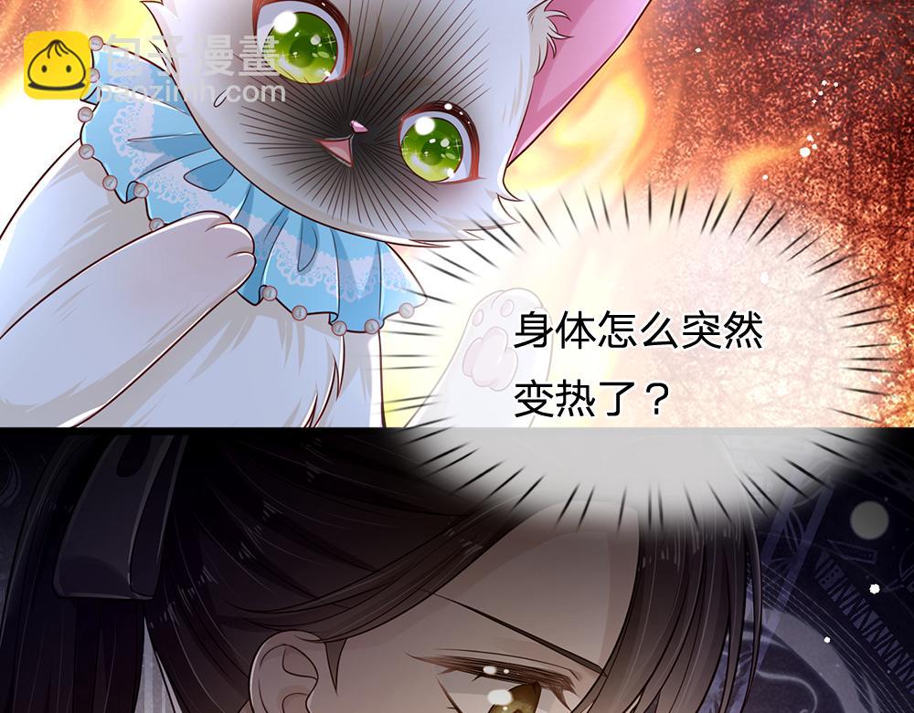 第155话 被光选中的喵11