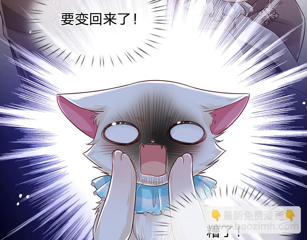第155话 被光选中的喵13
