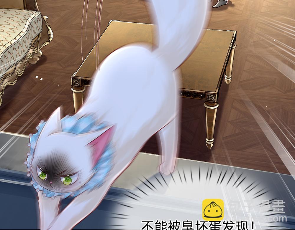 第155话 被光选中的喵16