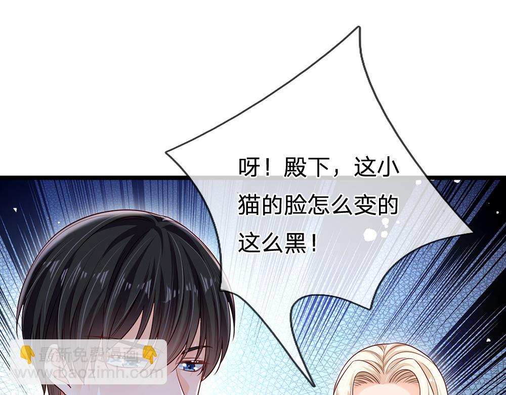 第155话 被光选中的喵3