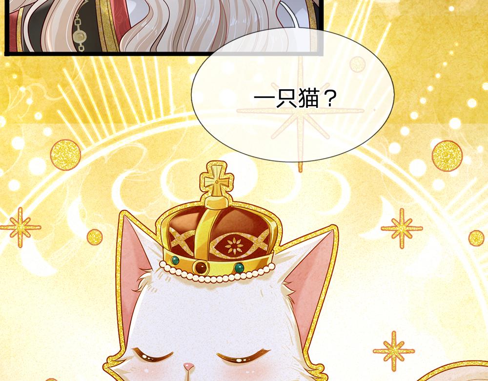 第155话 被光选中的喵32