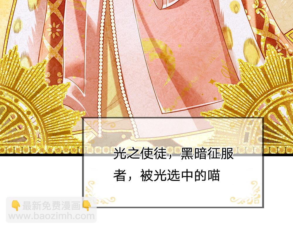 第155话 被光选中的喵34