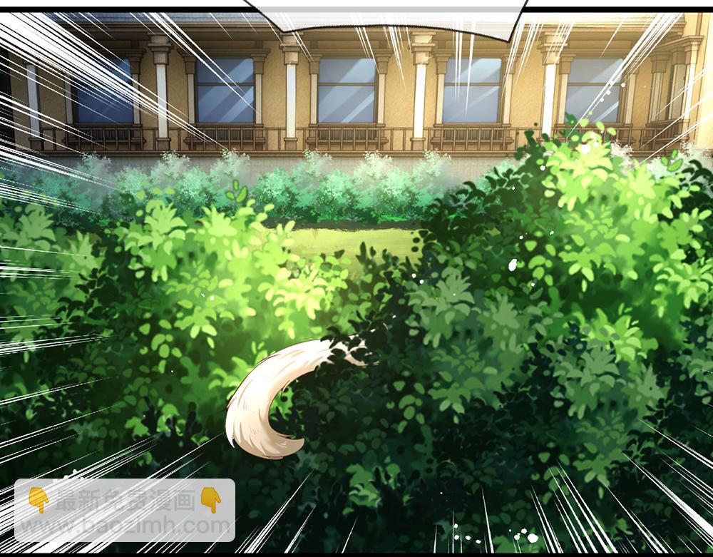 第176话 这只猫有问题19