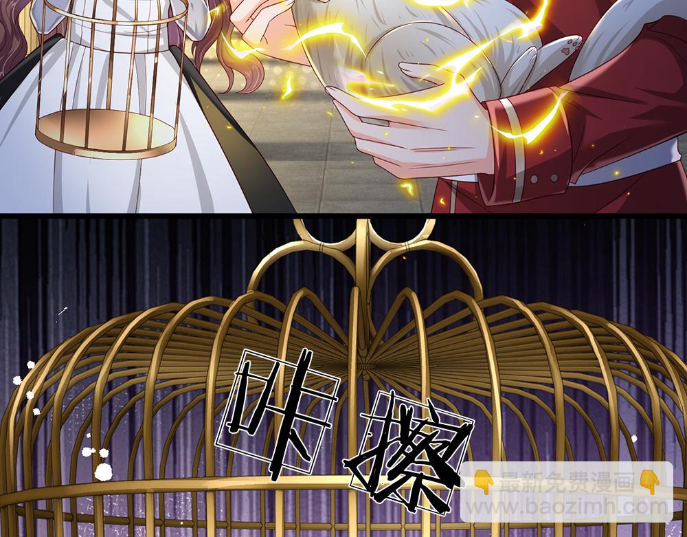 第176话 这只猫有问题27