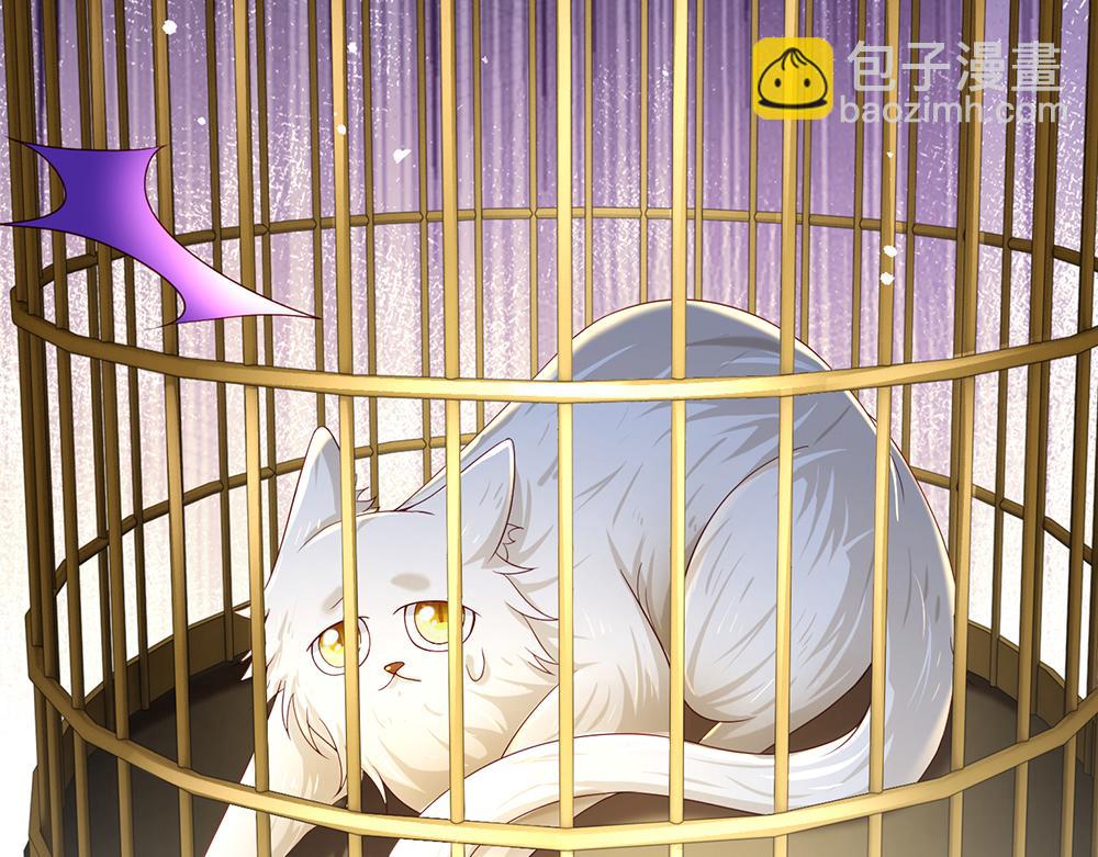 第176话 这只猫有问题28