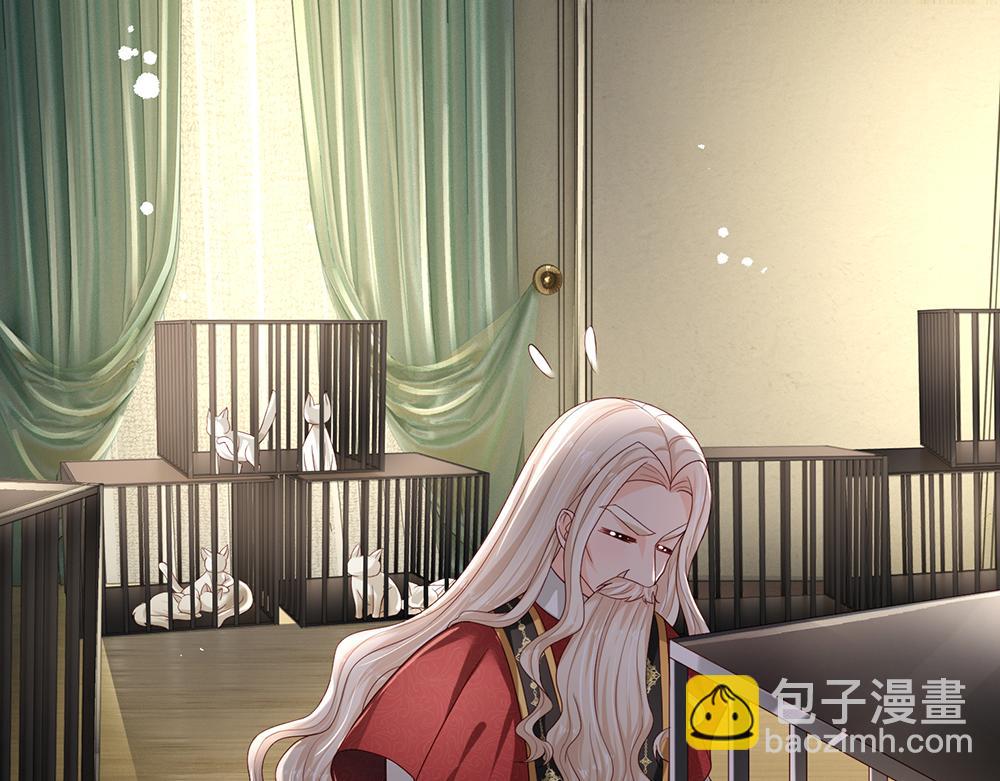 第176话 这只猫有问题30