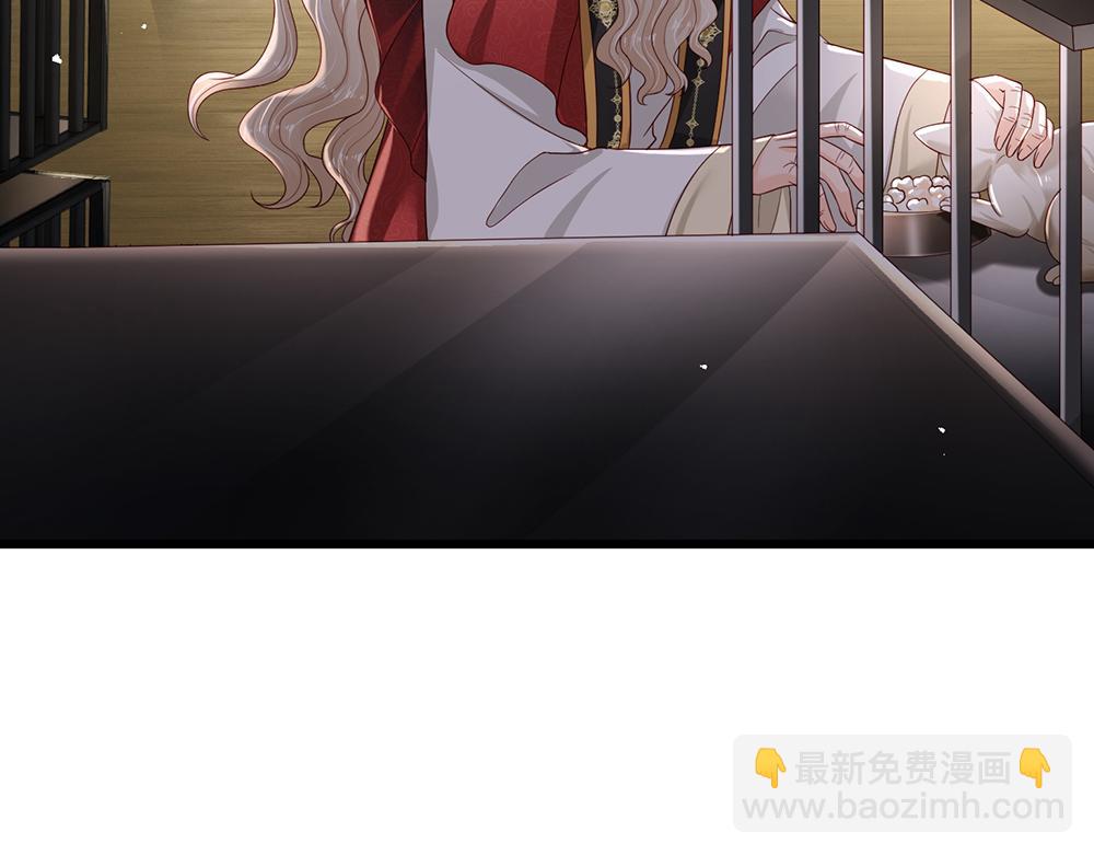 第176话 这只猫有问题31