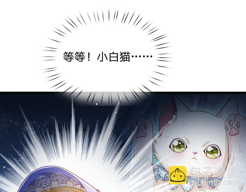 第176话 这只猫有问题37