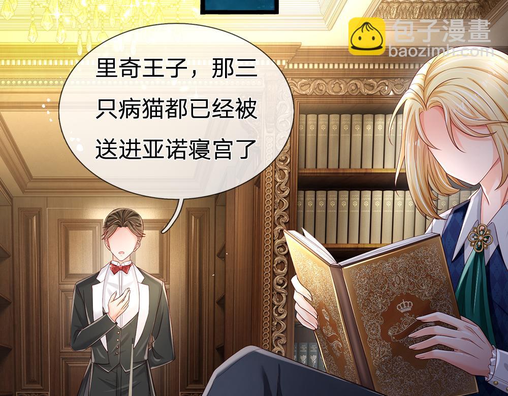 第176话 这只猫有问题52