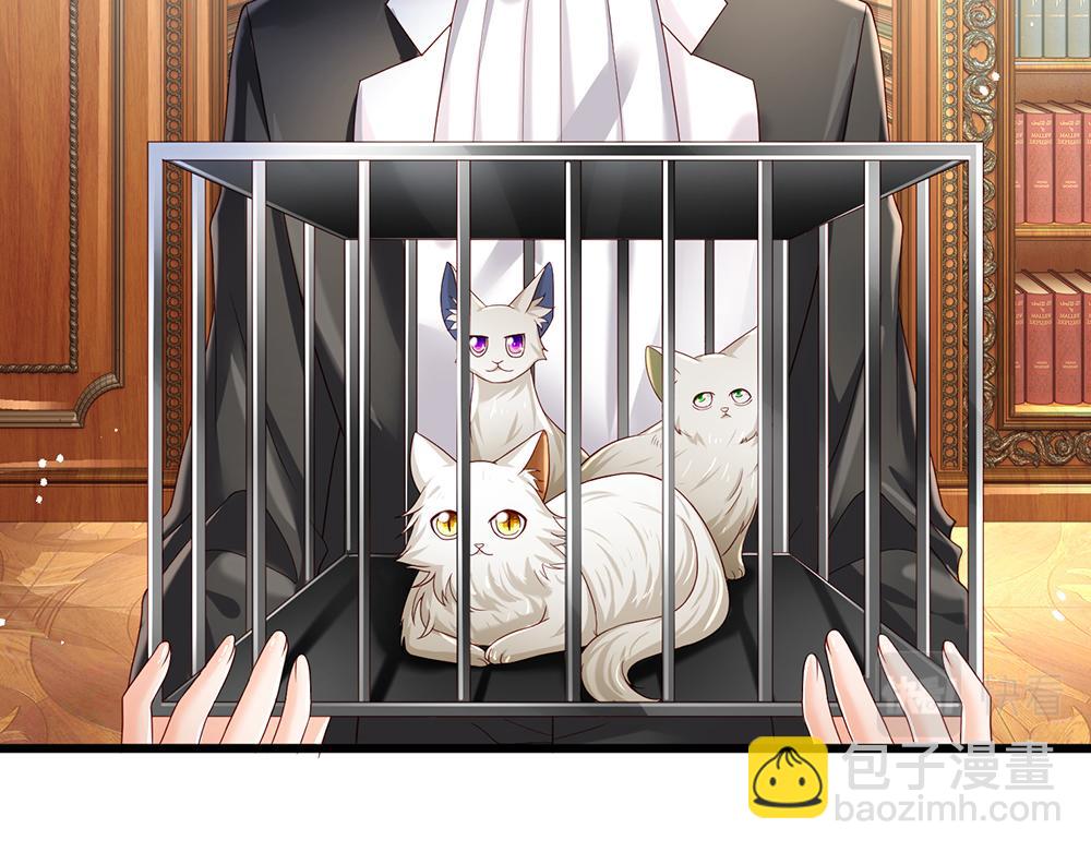 第176话 这只猫有问题63