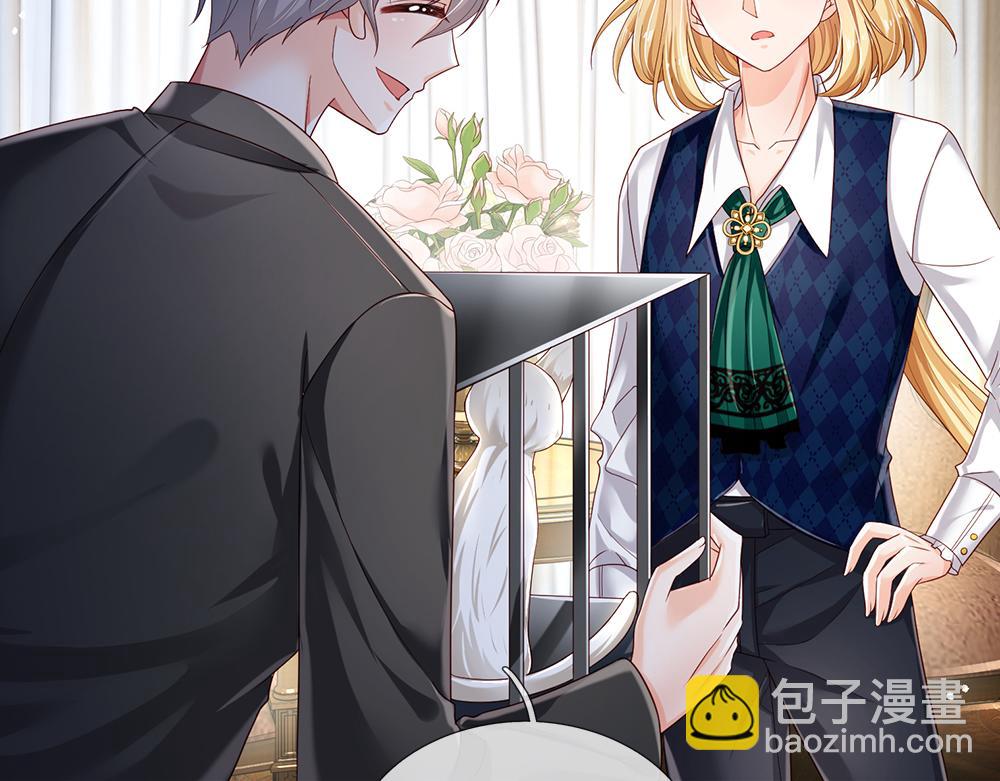 第176话 这只猫有问题65