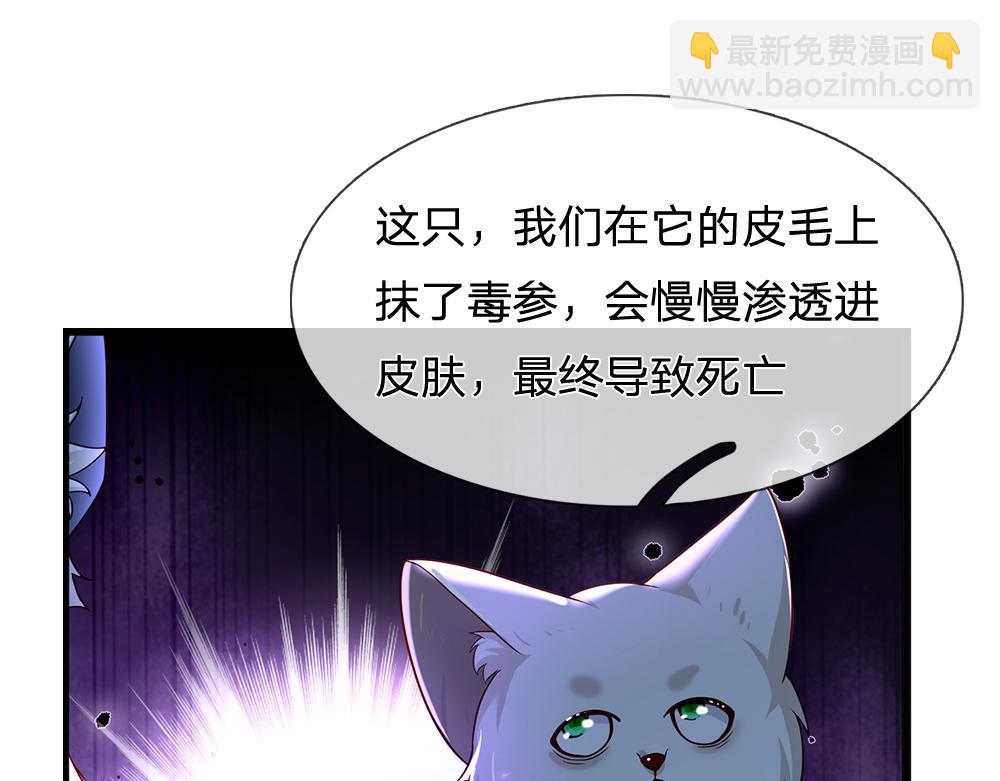 第176话 这只猫有问题67