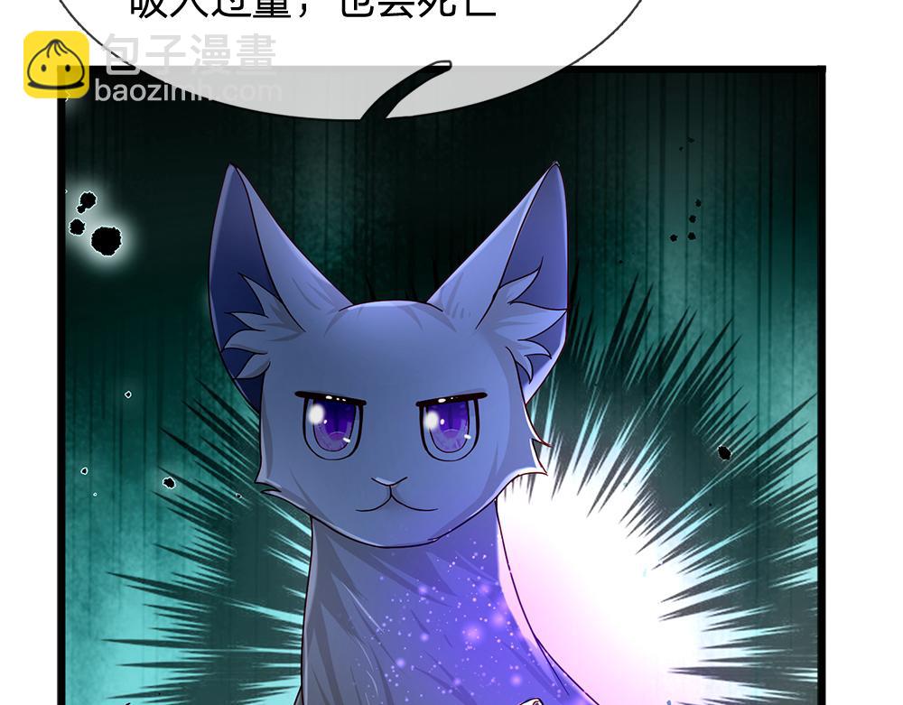 第176话 这只猫有问题69